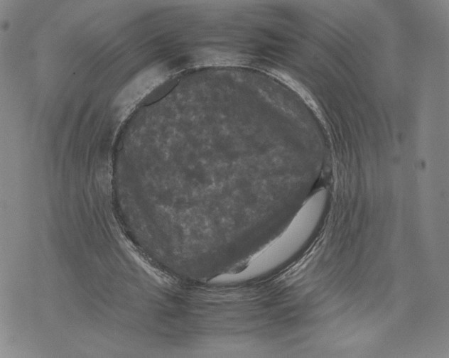 X0000070250437200606301630