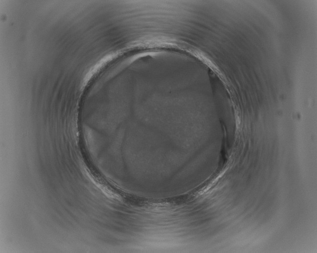 X0000070250438200606301630