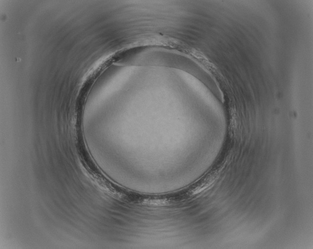 X0000070250440200606301630