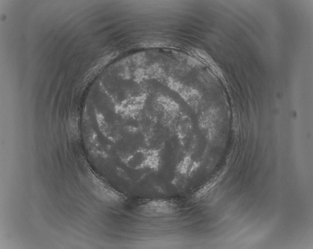 X0000070250441200606301630