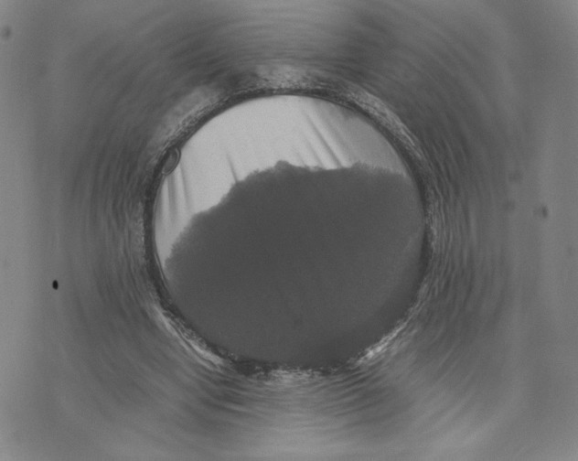 X0000070250442200606301630