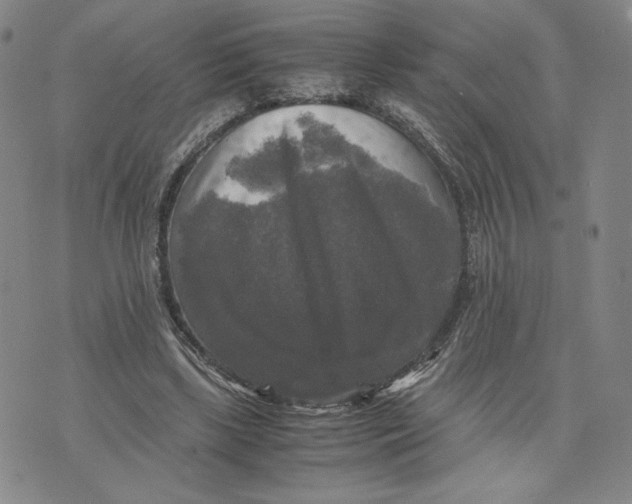 X0000070250443200606301630