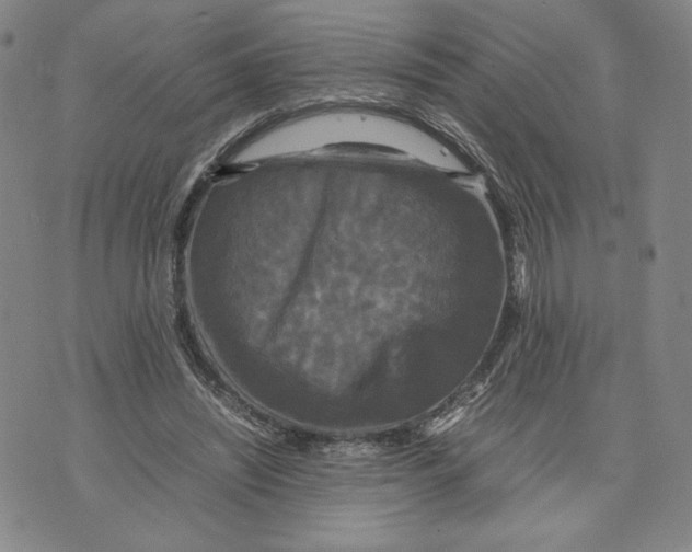 X0000070250444200606301630