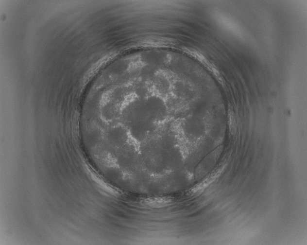 X0000070250445200606301630