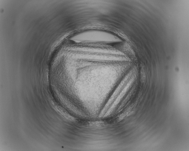 X0000070250446200606301630