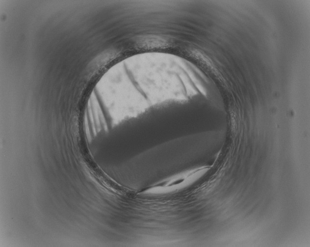 X0000070250447200606301630