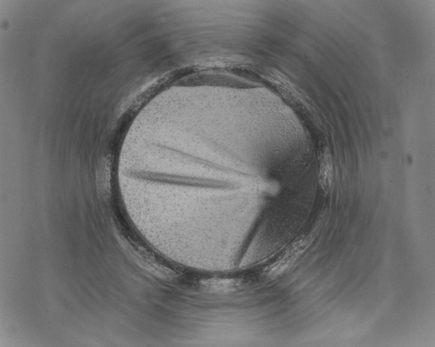 X0000070250448200606301630