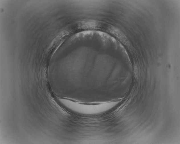 X0000070250449200606301630