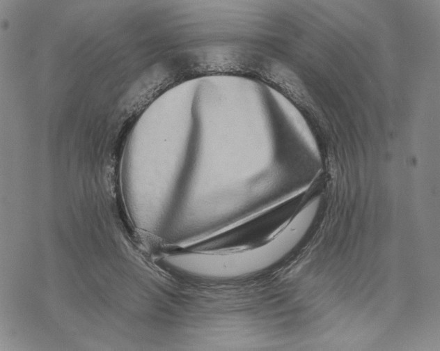 X0000070250450200606301630