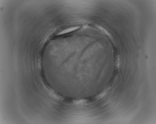 X0000070250452200606301630