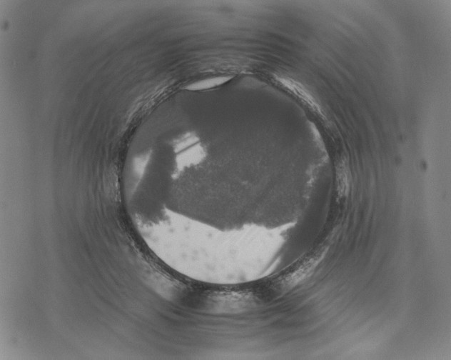 X0000070250453200606301630