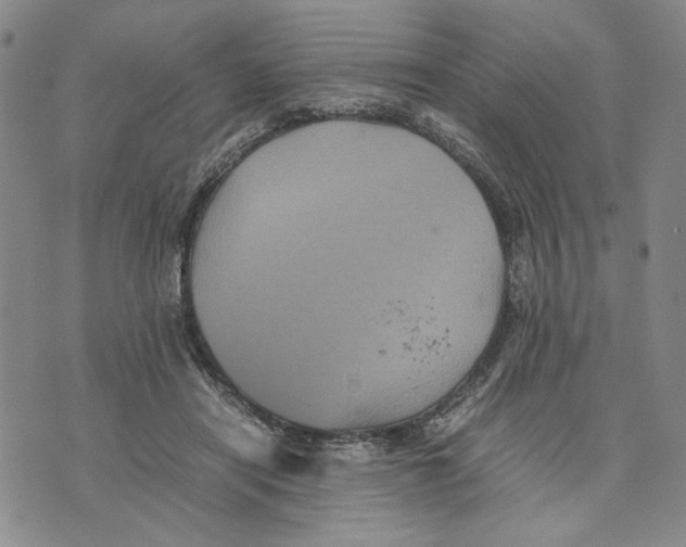 X0000070250454200606301630