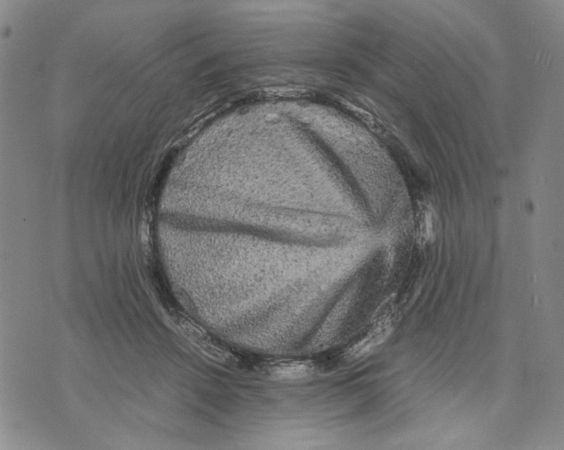 X0000070250456200606301630