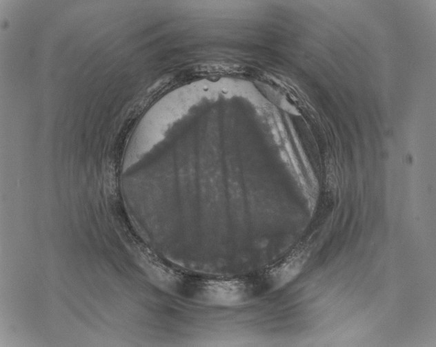 X0000070250457200606301630