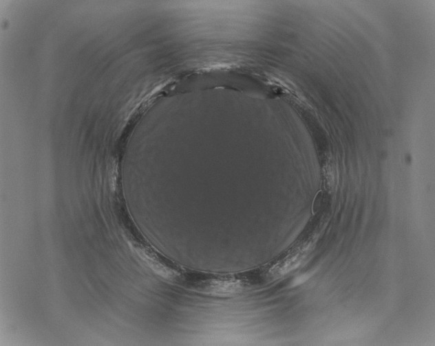 X0000070250458200606301630