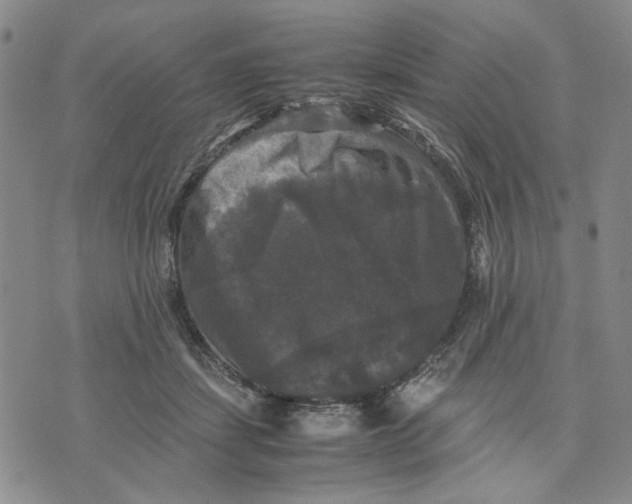 X0000070250459200606301630