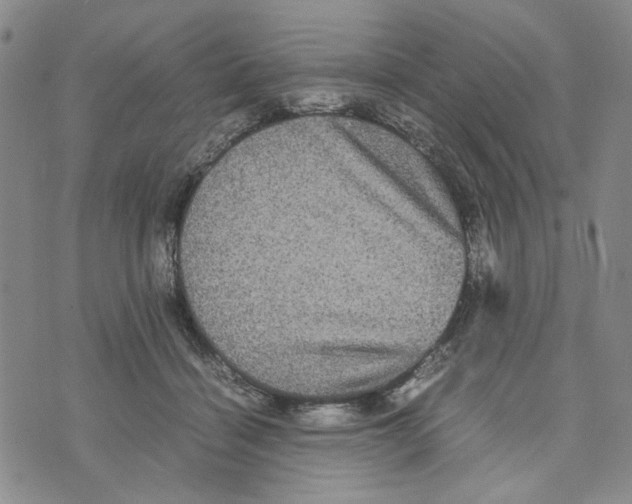 X0000070250460200606301630