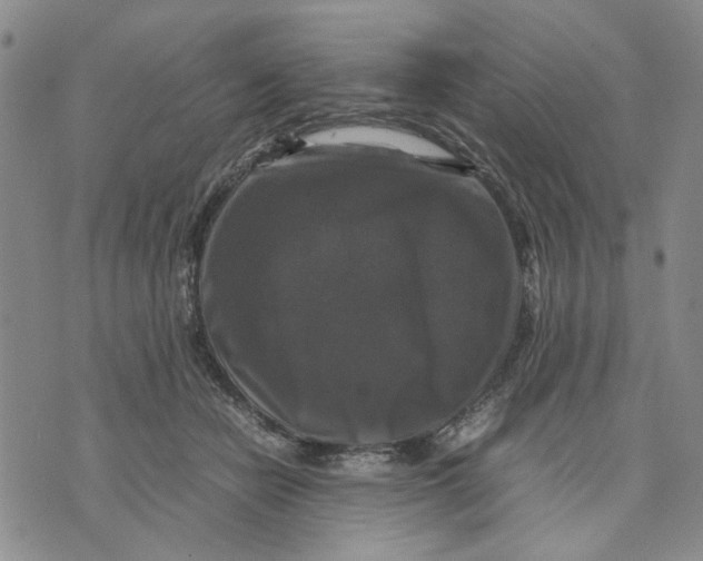 X0000070250462200606301630