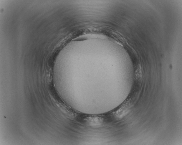 X0000070250464200606301630