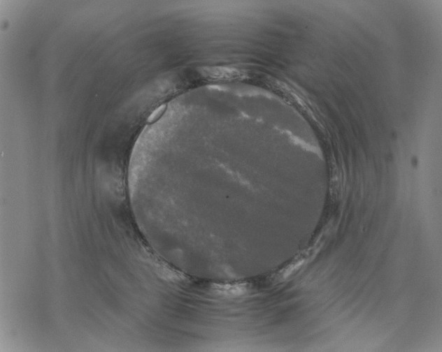 X0000070250469200606301630