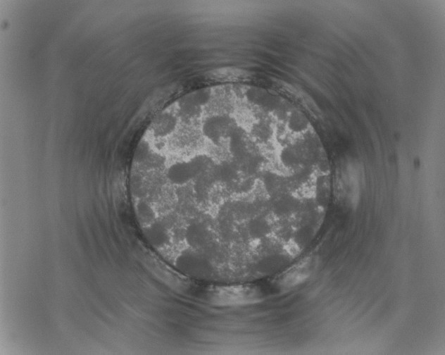 X0000070250473200606301630