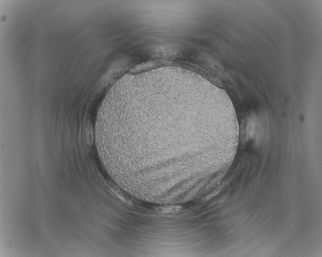 X0000070250474200606301630