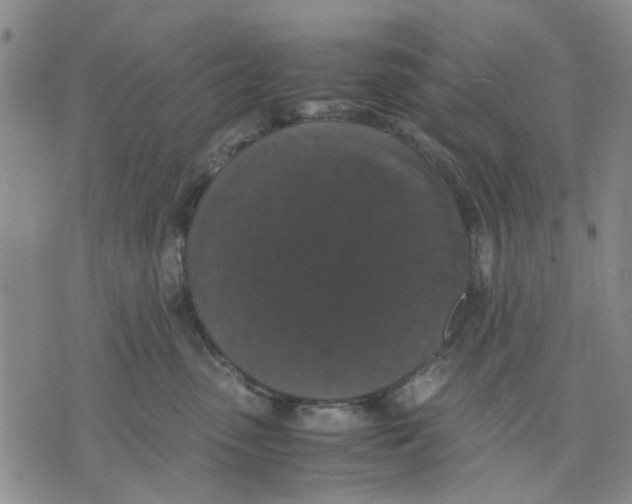 X0000070250475200606301630