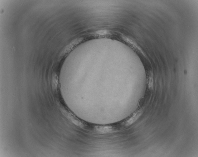 X0000070250476200606301630