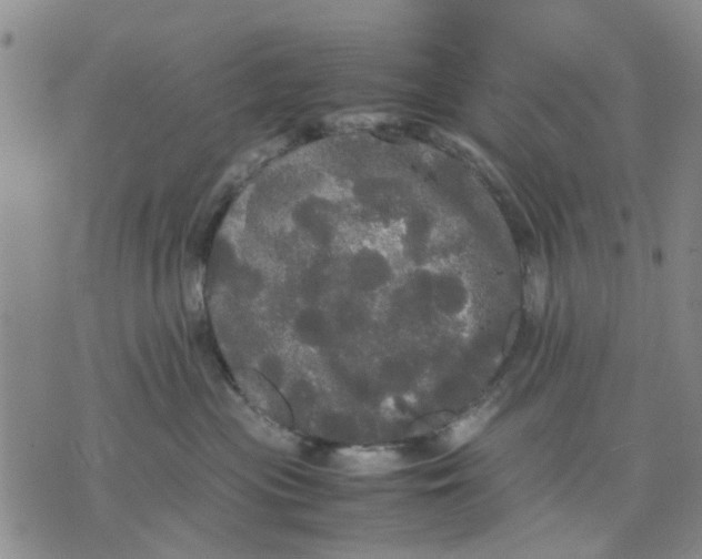 X0000070250477200606301630