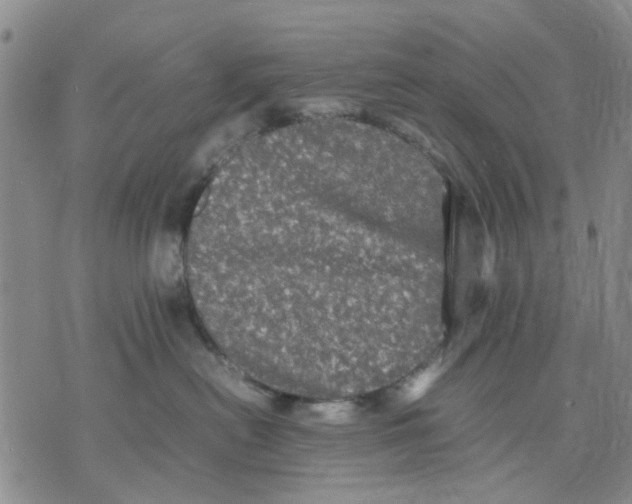 X0000070250478200606301630