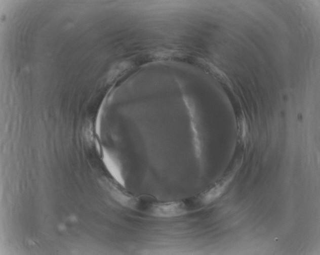 X0000070250479200606301630