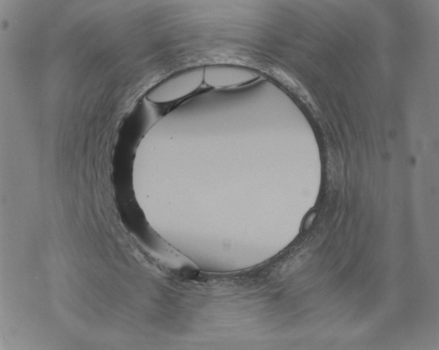 X0000070250481200606301629