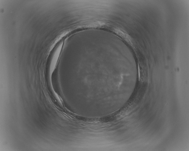 X0000070250483200606301629