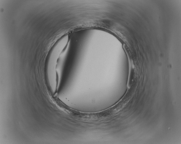 X0000070250485200606301629