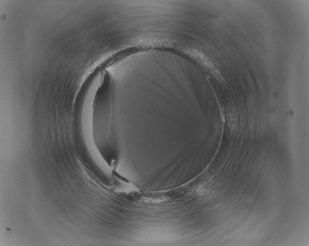 X0000070250488200606301629