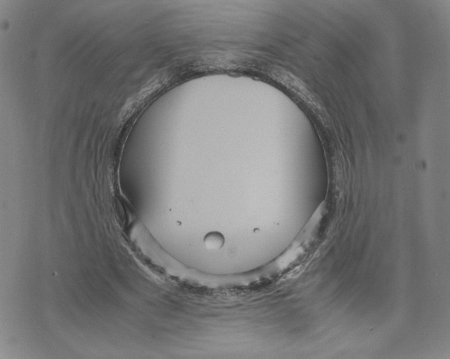 X0000070250489200606301629