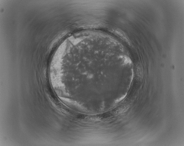 X0000070250491200606301629