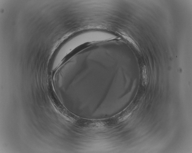 X0000070250492200606301629