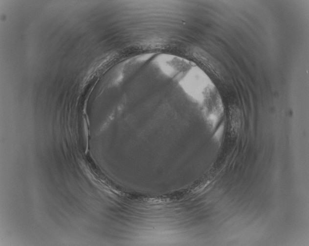 X0000070250494200606301629