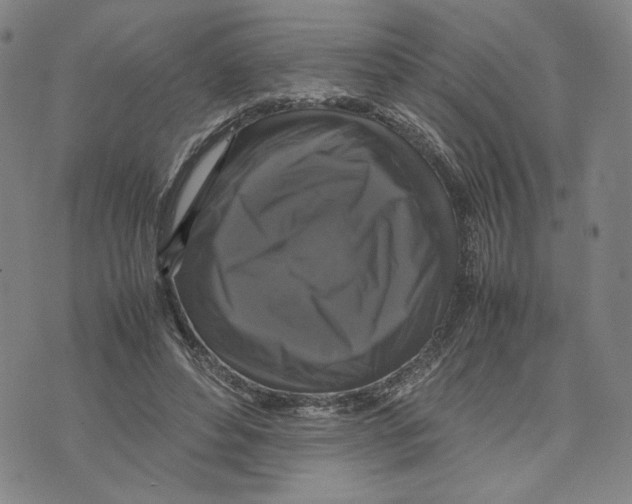 X0000070250496200606301629