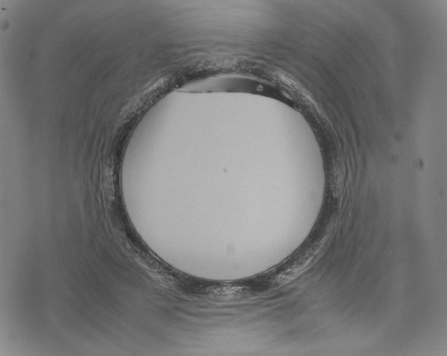 X0000070250497200606301629