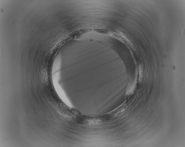 X0000070250500200606301629