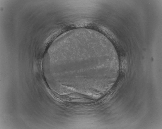 X0000070250501200606301629