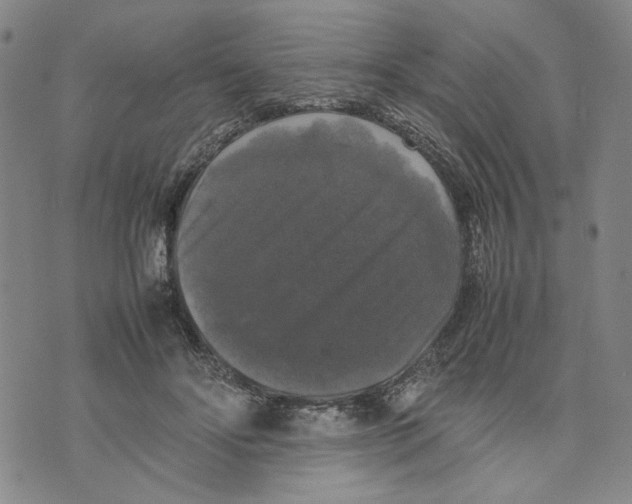 X0000070250502200606301629