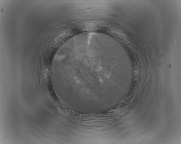 X0000070250503200606301629