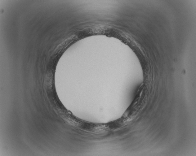 X0000070250505200606301629