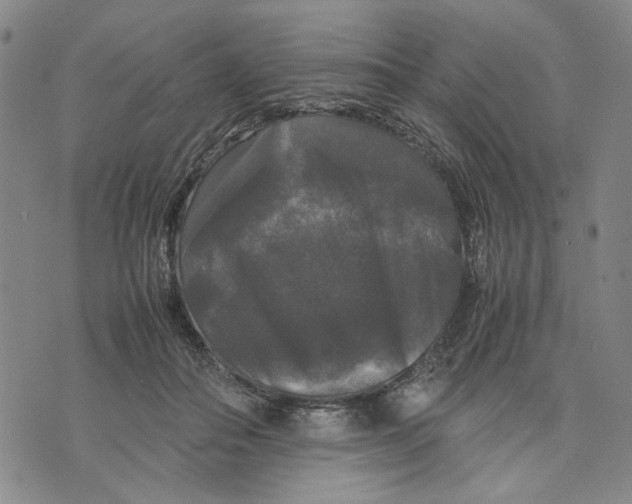 X0000070250506200606301629