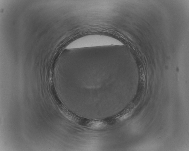 X0000070250507200606301629