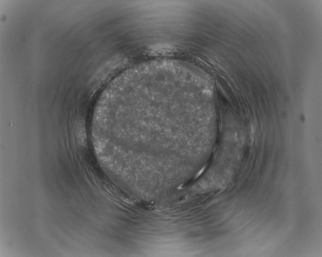 X0000070250508200606301629