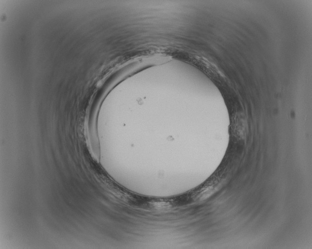 X0000070250509200606301629